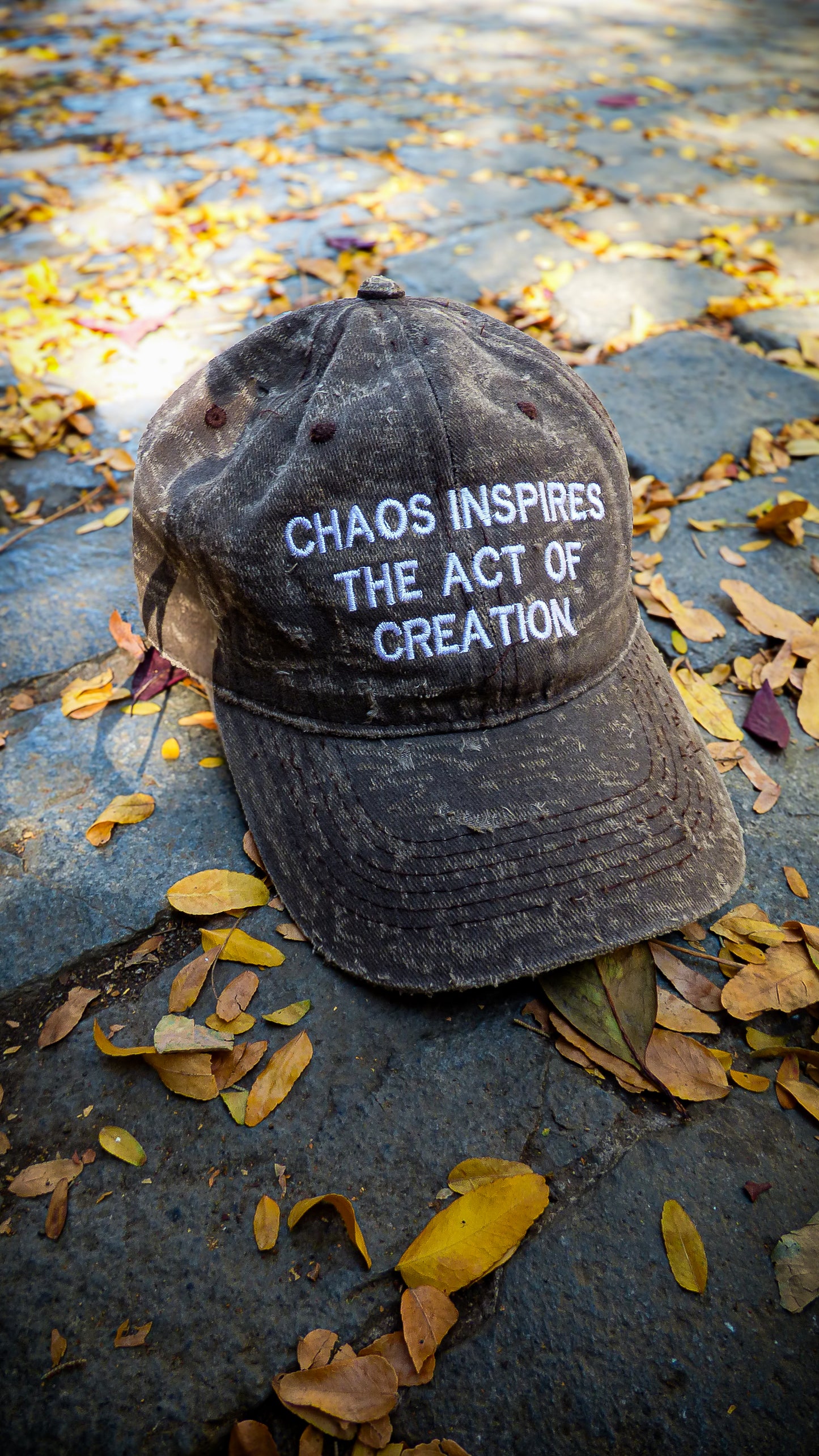 Dad Hat - Chaos Inspires Creation